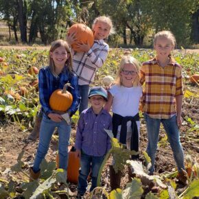 Pumpkin Family 